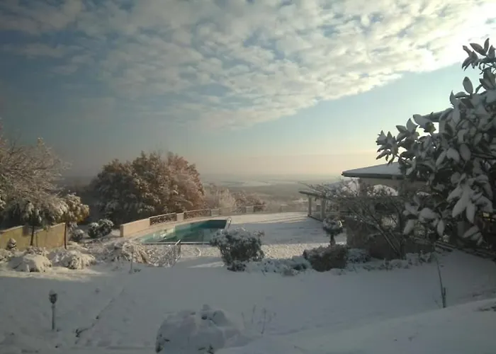 белисима, Bellissima