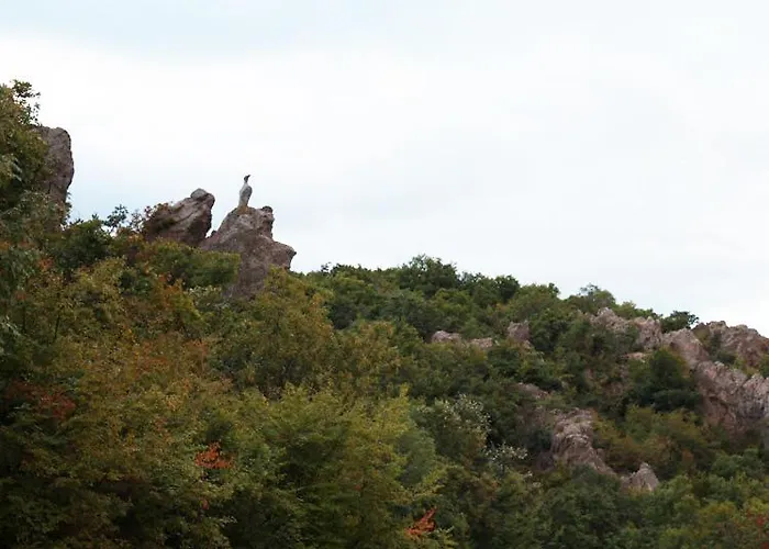 белисима, Bellissima Guest house